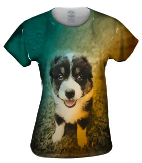 Cute Herd Puppy