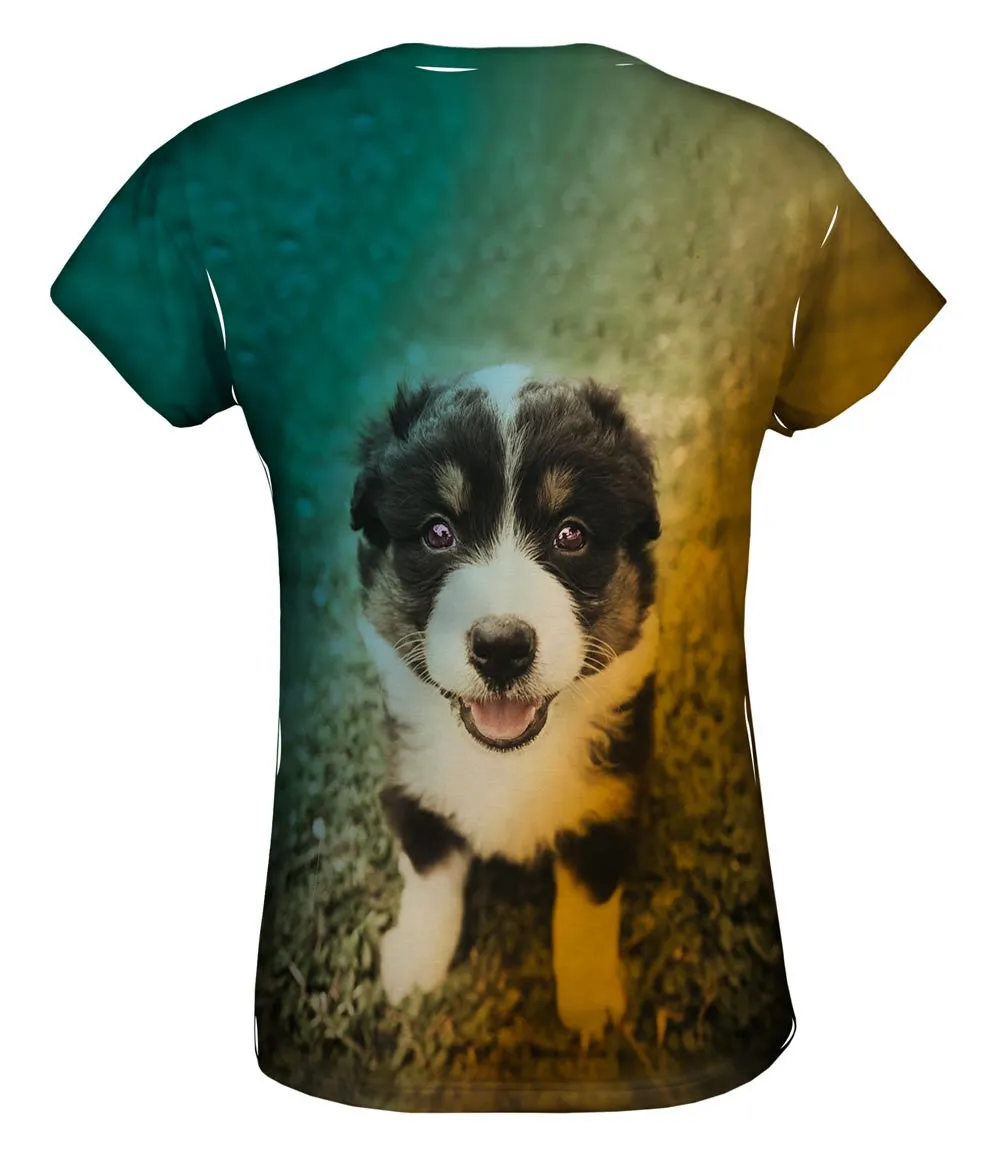 Cute Herd Puppy