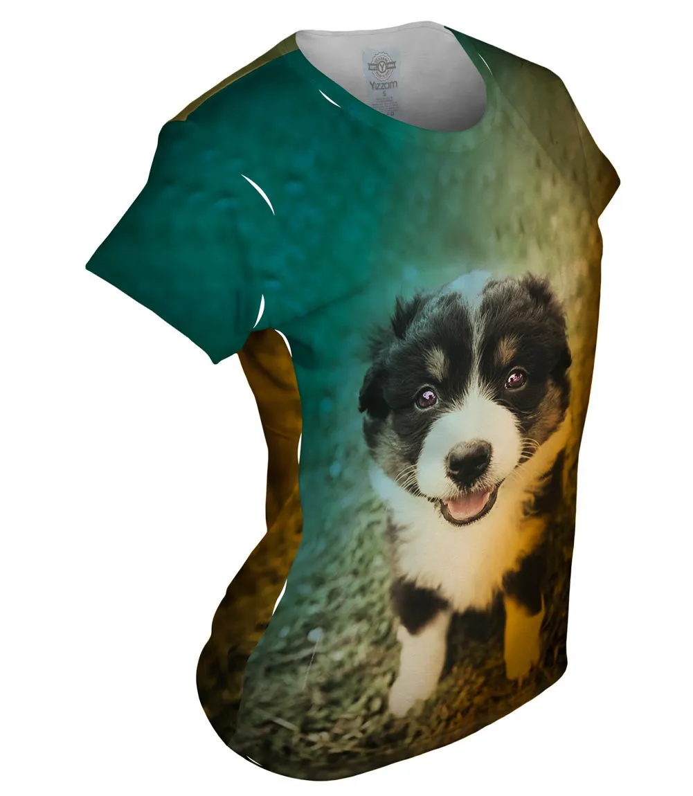 Cute Herd Puppy
