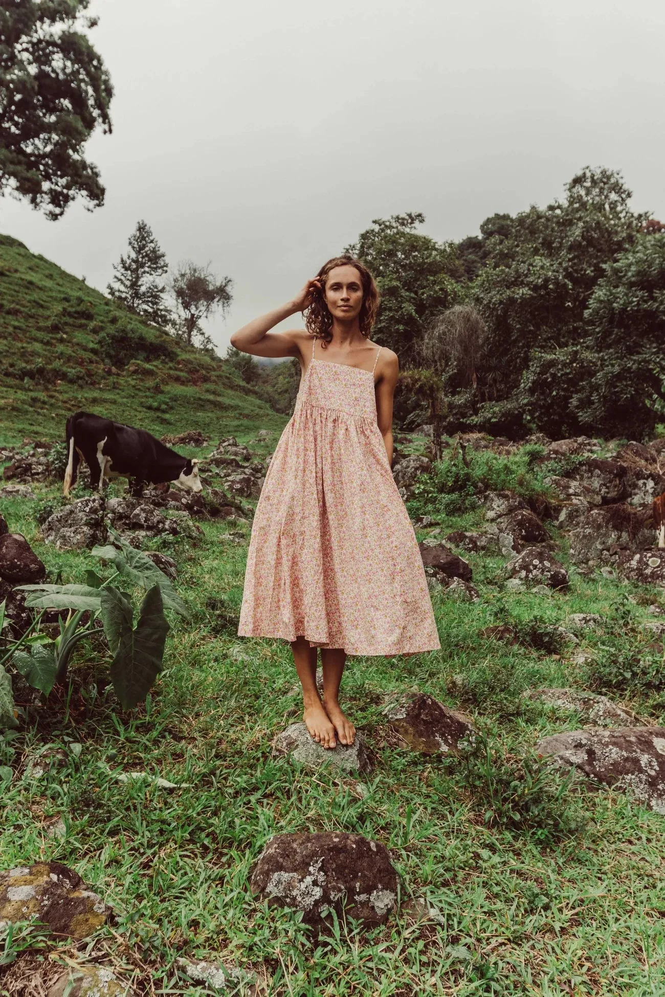 Frankie Dress - Pink Lemon Ditsy