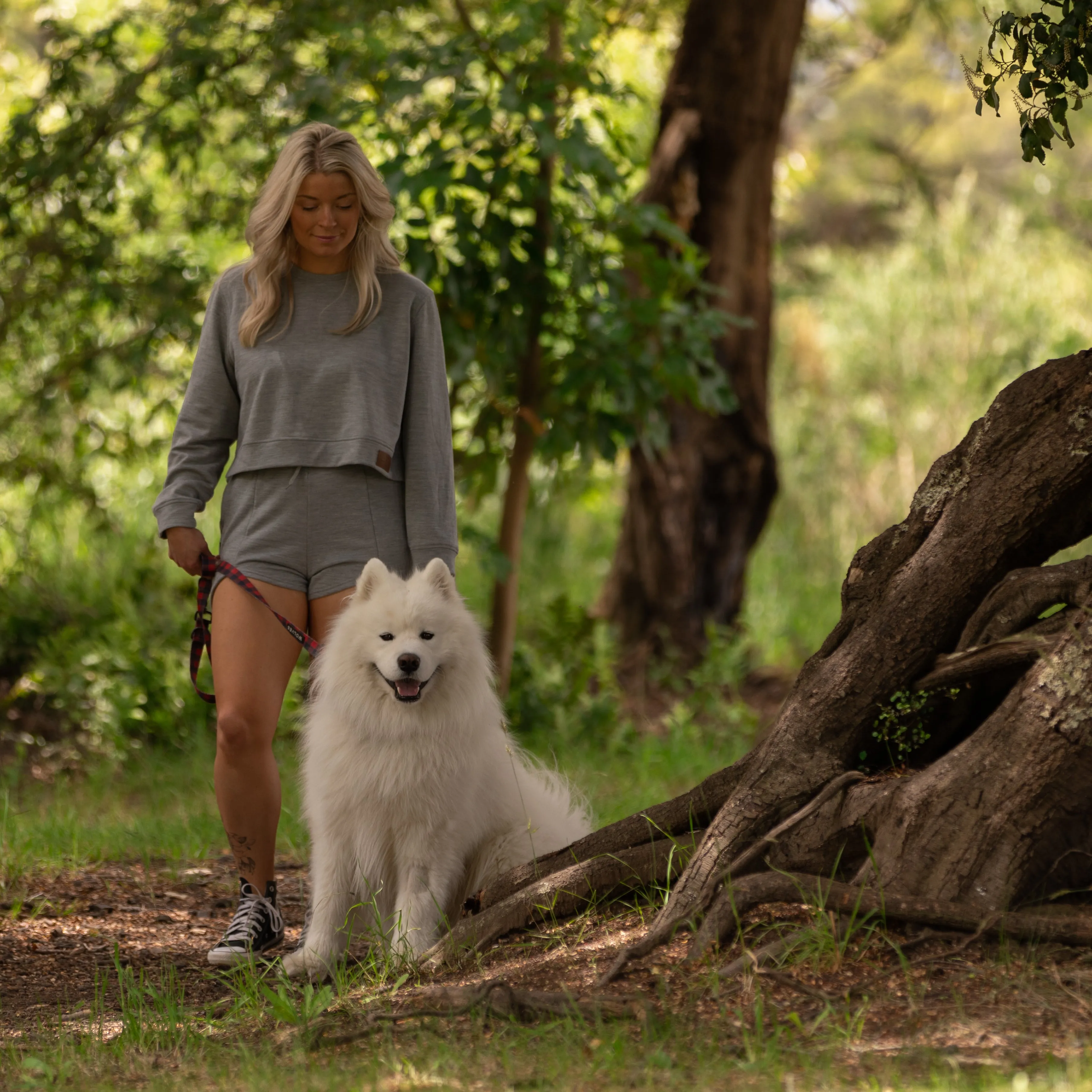 Goldilocks Shorts - Silver