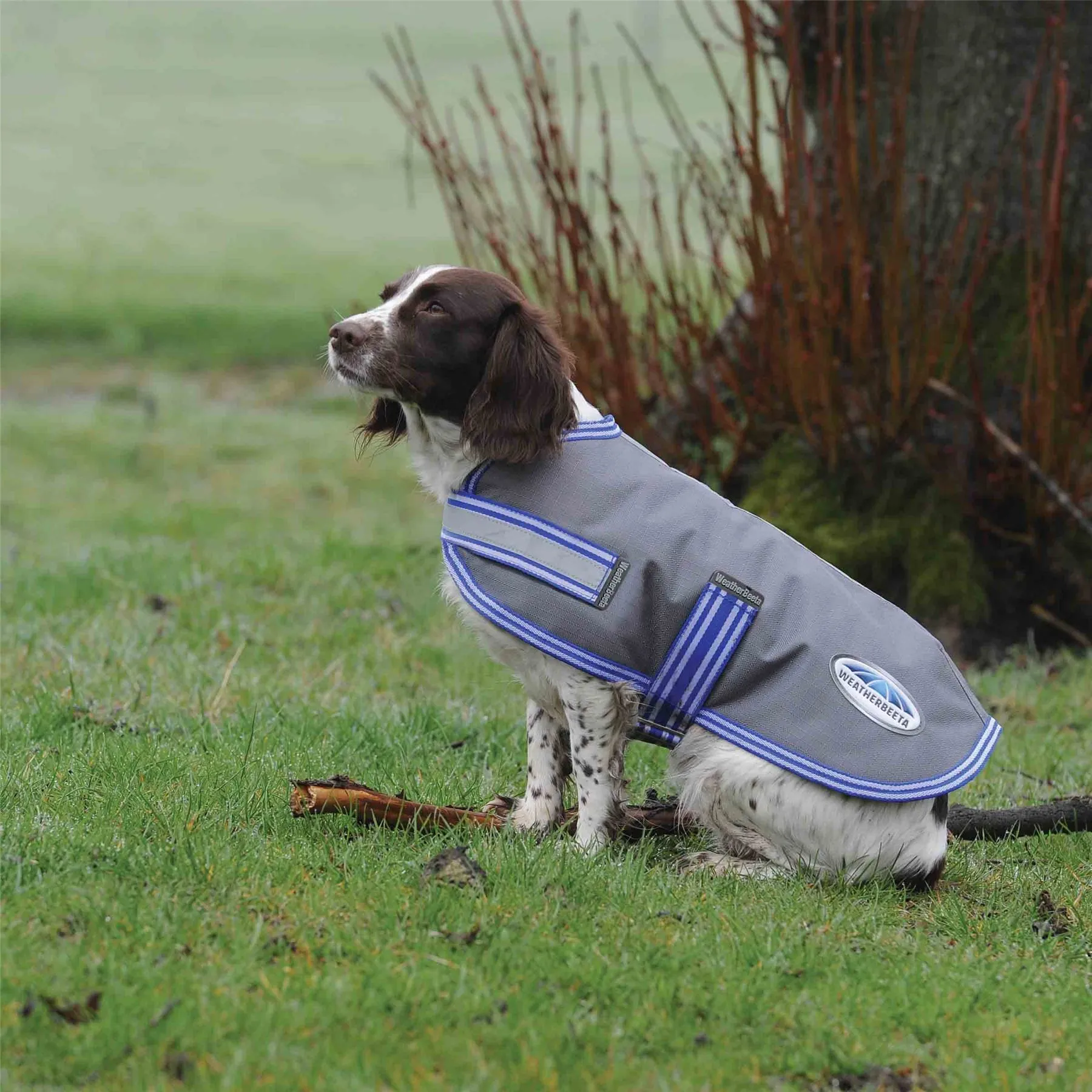 Weatherbeeta Thermi-Heat Dog Coat